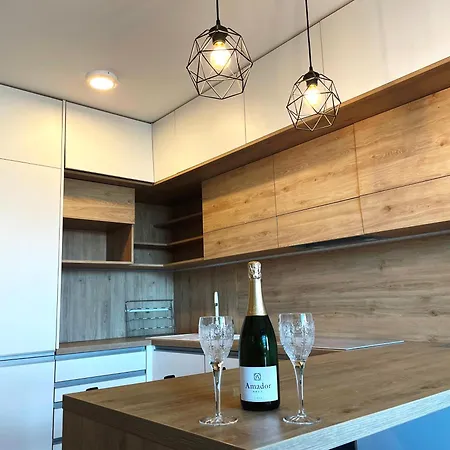 Apartment Designer Near Old Town With Ac, Private Parking, Loggia Kosice